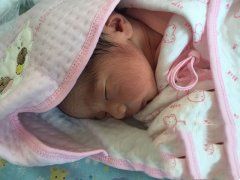 �����ֱ�������ҵ��ͥ������