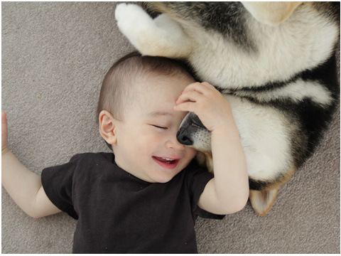 ���ݴ���